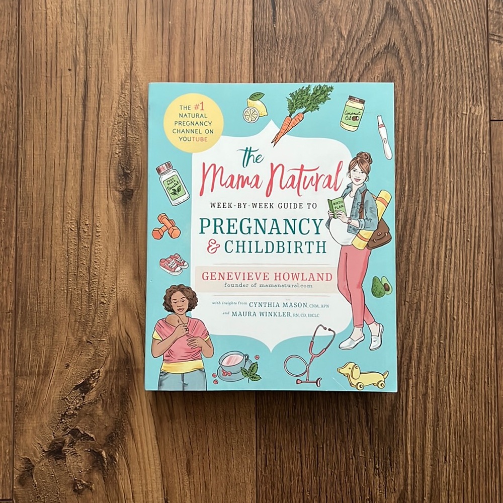 The Mama Natural Pregnancy & Childbirth Book
